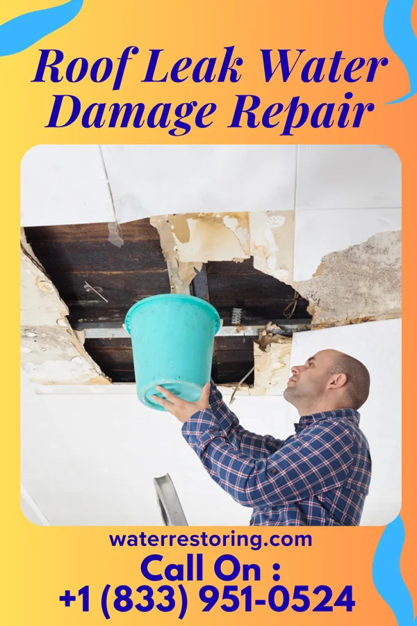 Roof Leak Water Damage Repair in Greer, SC
