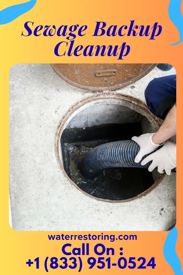 Sewage Backup Cleanup in Greer, SC